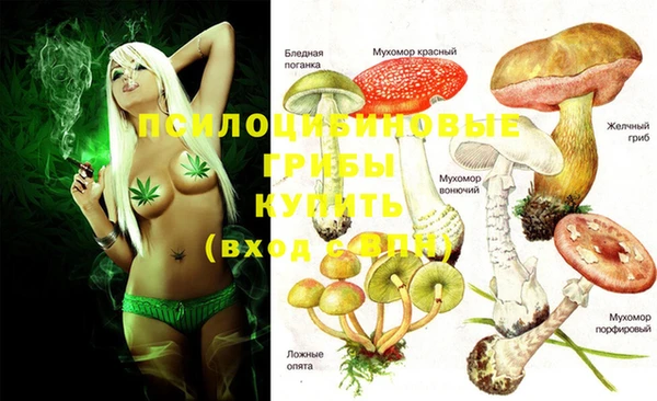 мдпв Балахна