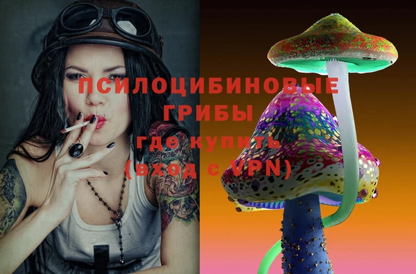 кокс Армянск