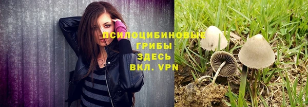 сатива Балабаново