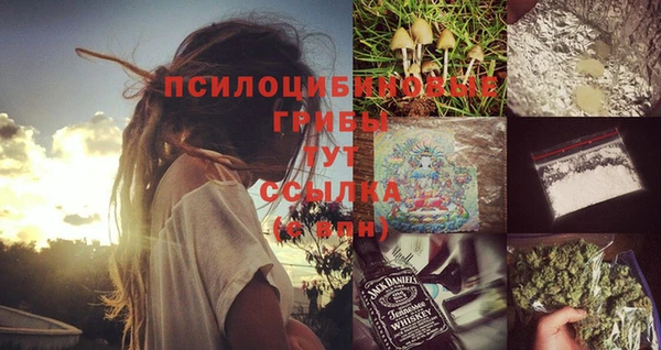 сатива Балабаново